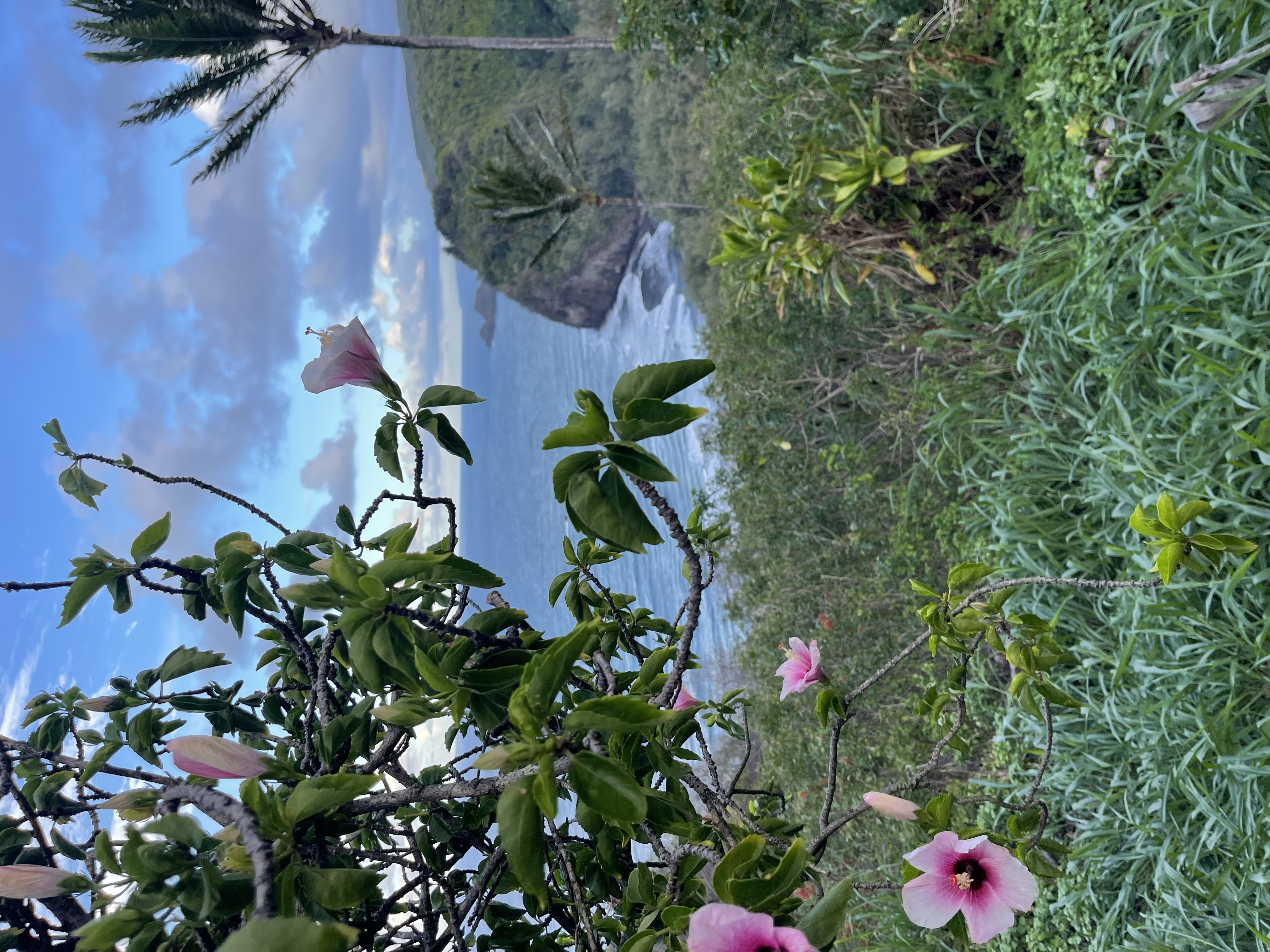 Luxury Big Island concierge lifestyle moment curated by High-End Hawaii