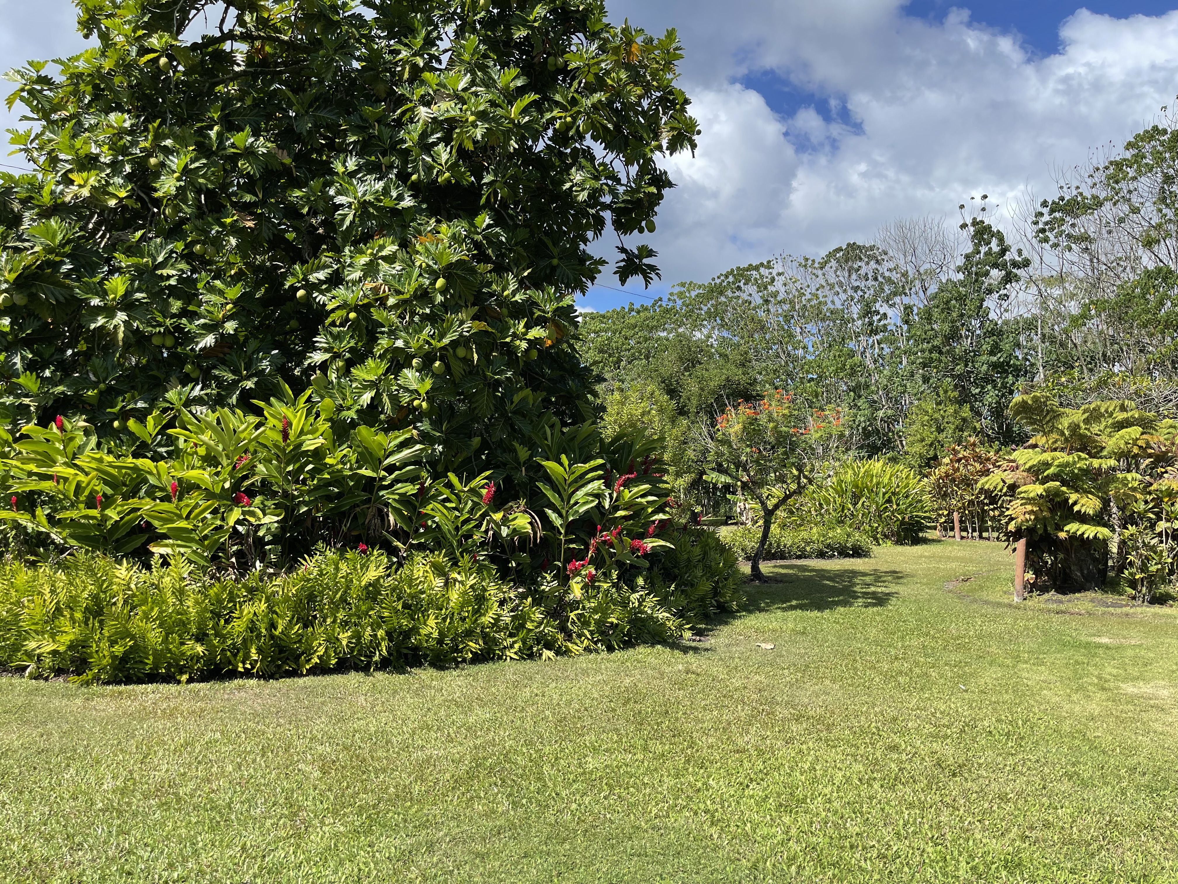 A Private Tour on the Big Island: Is It Actually Worth It?