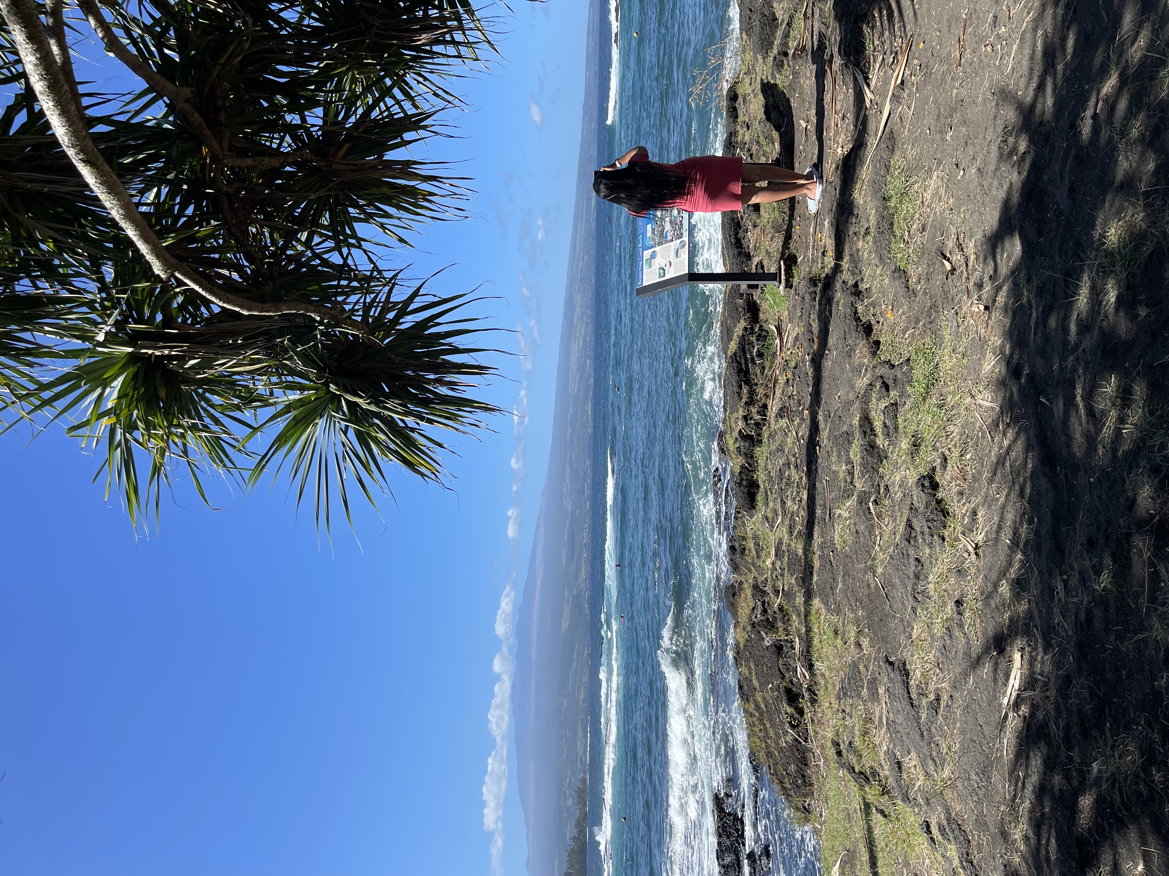 Guests enjoying a Big Island viewpoint