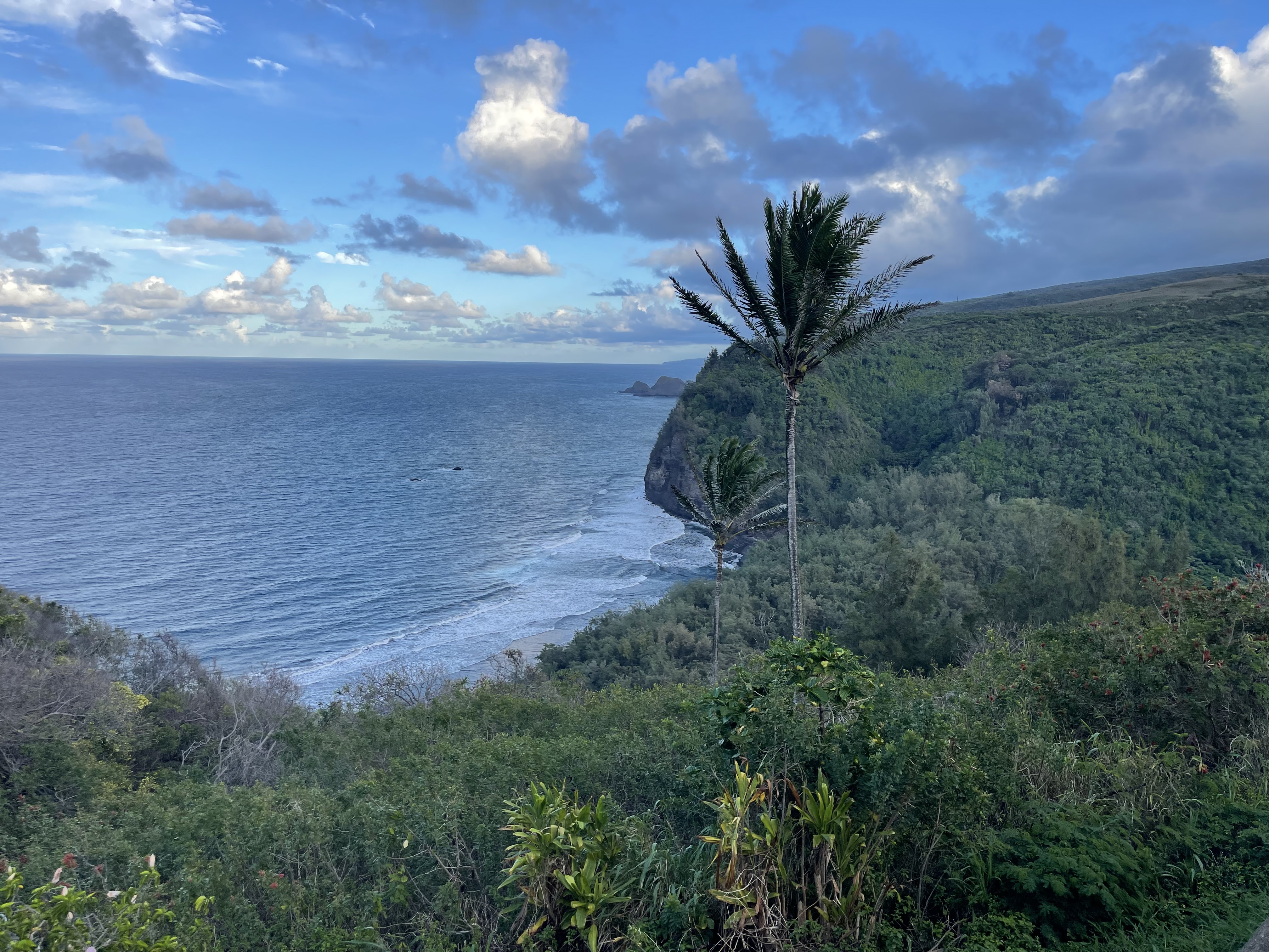 Family friendly private tour with kids at waterfall on Big Island Hawaii