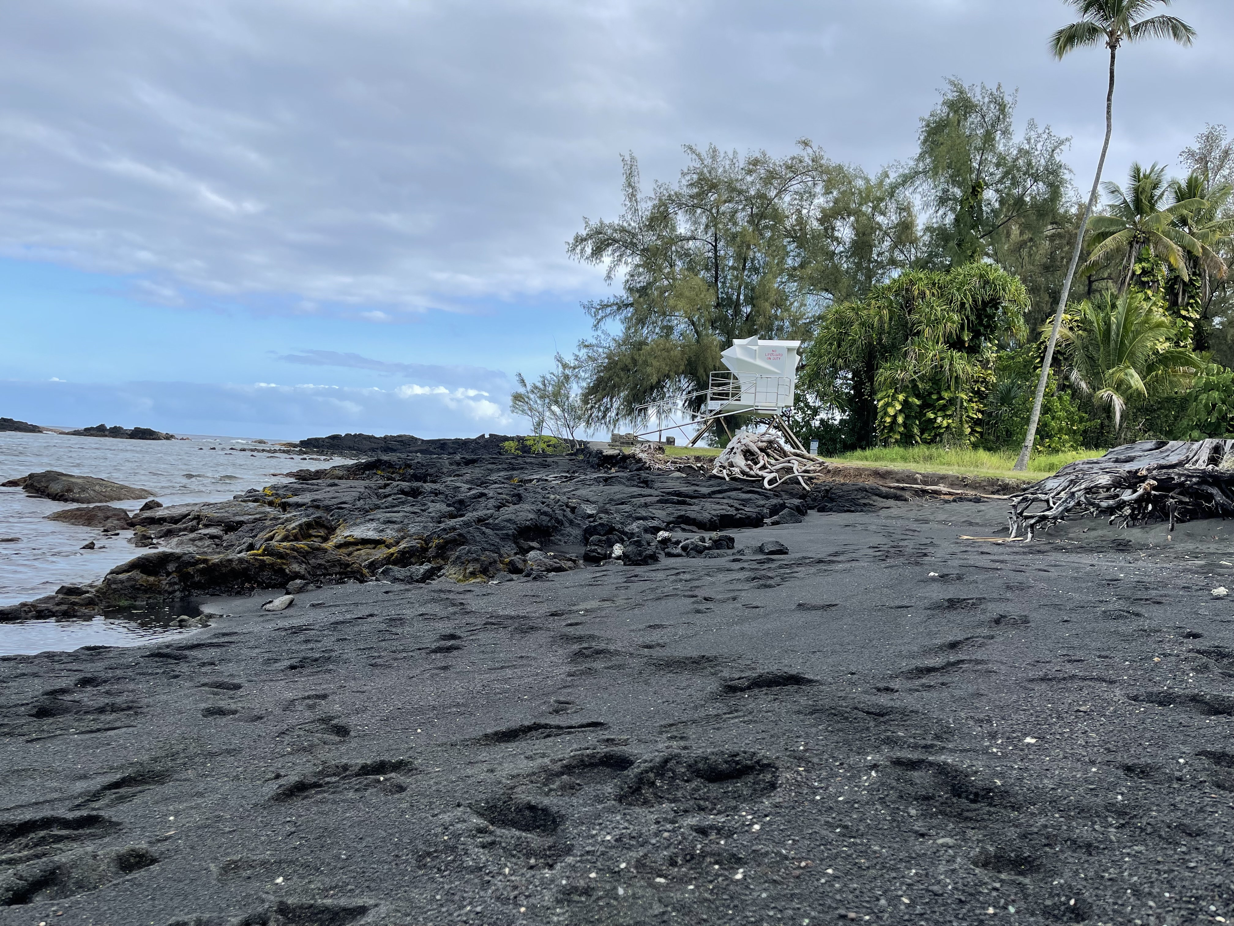 Black sand and palm trees at Punaluʻu