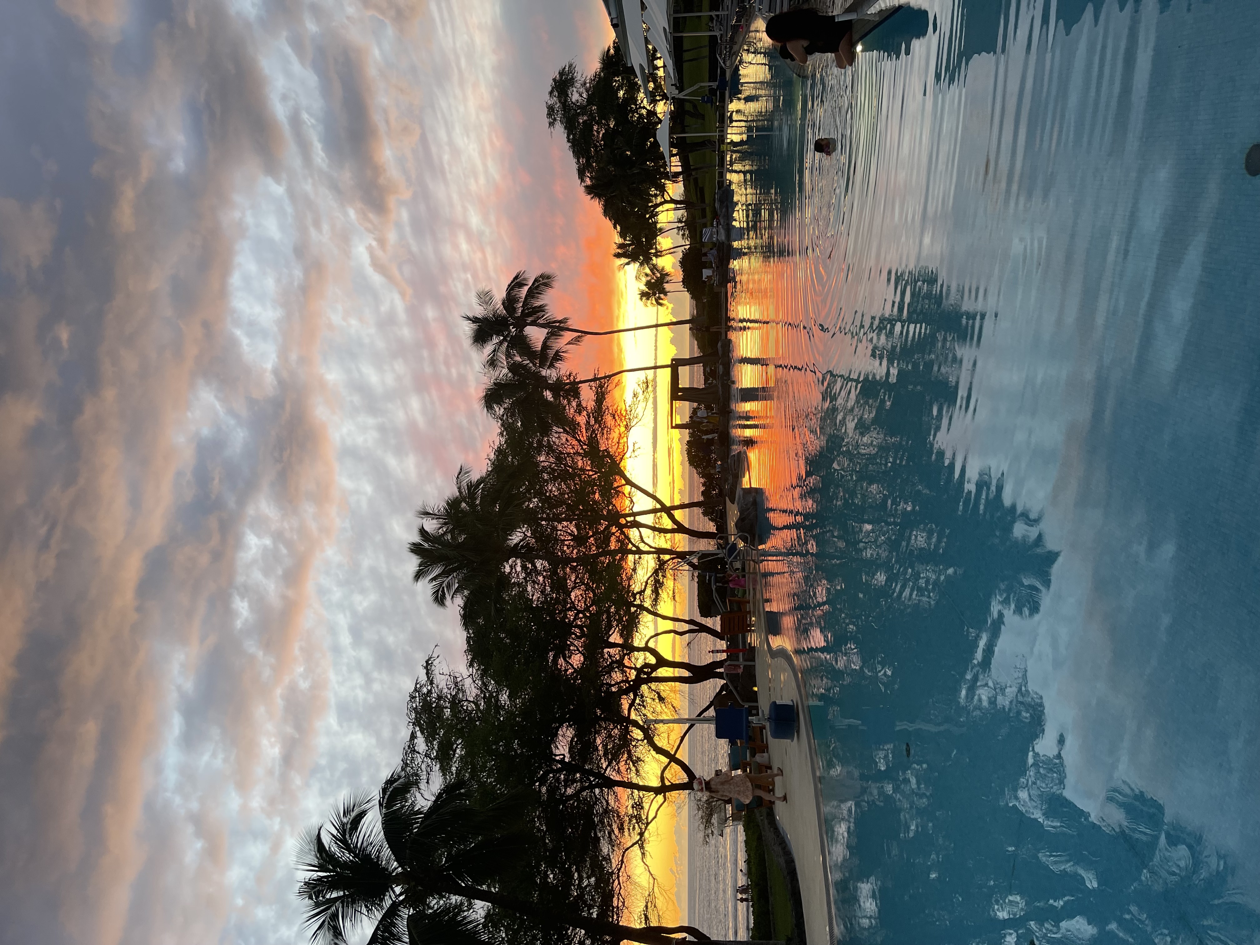 Coconut palms above Punaluʻu Beach