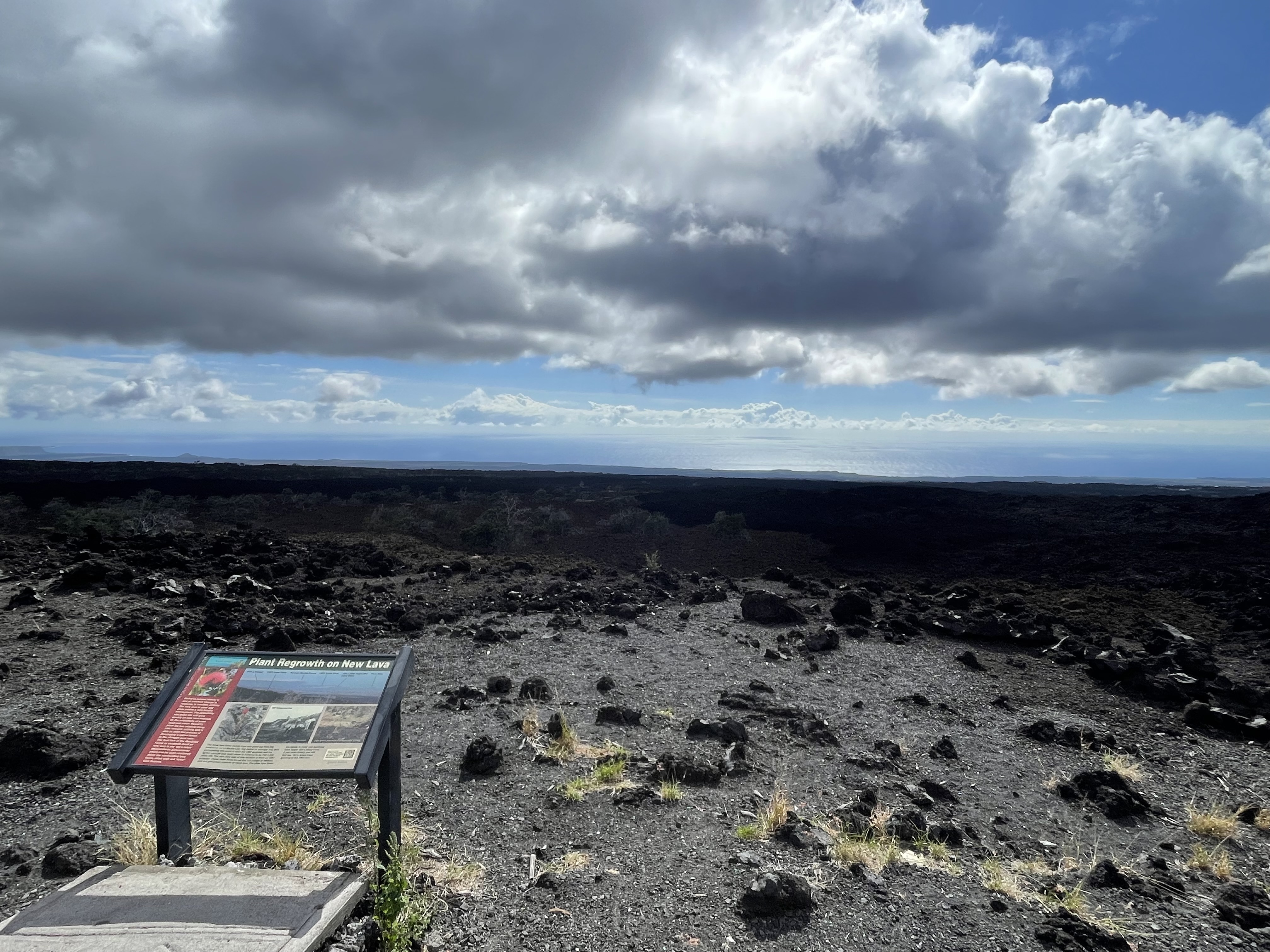 Summer beach day on the Kohala coast