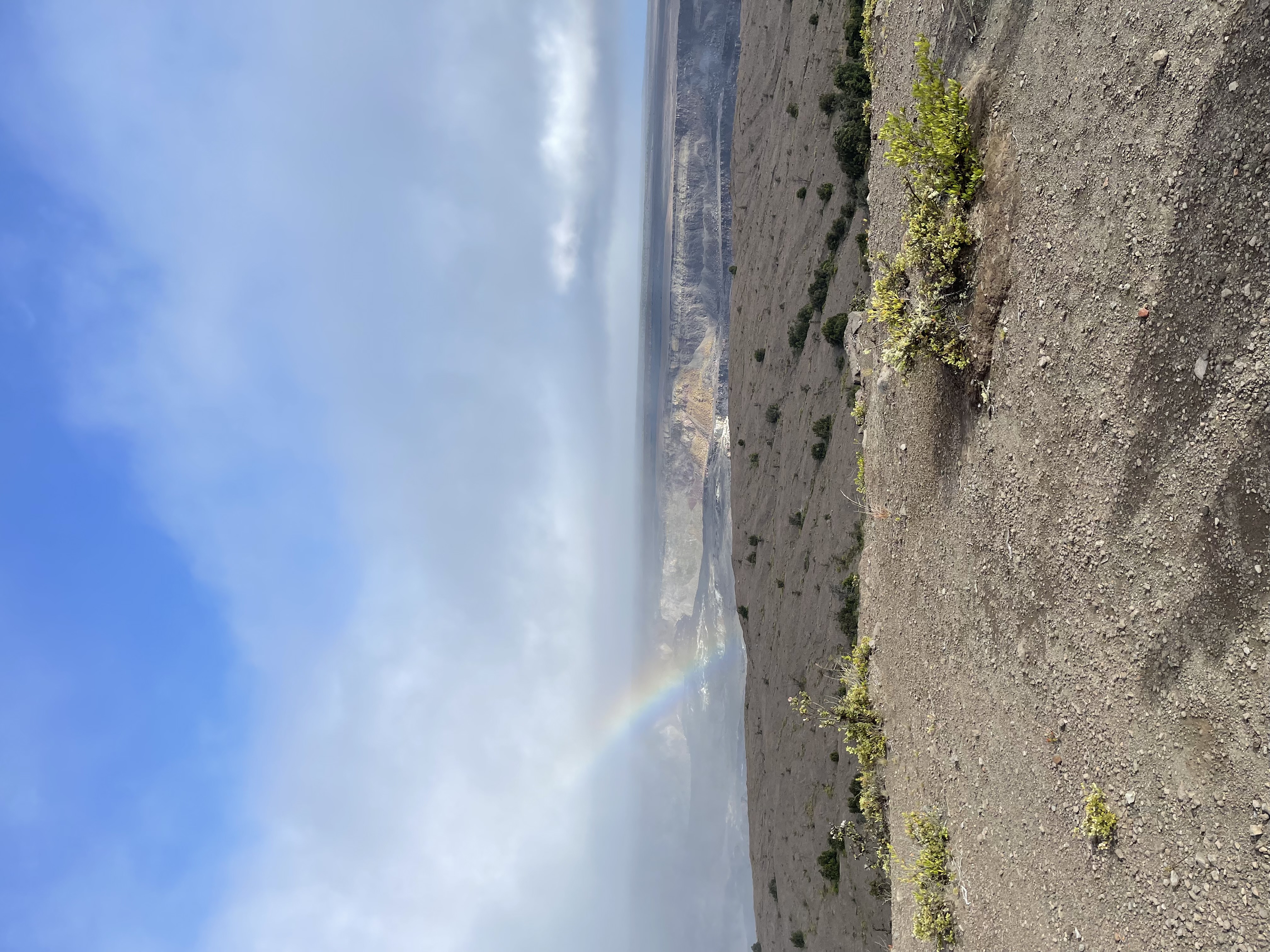 Ancient petroglyphs at Puʻuloa