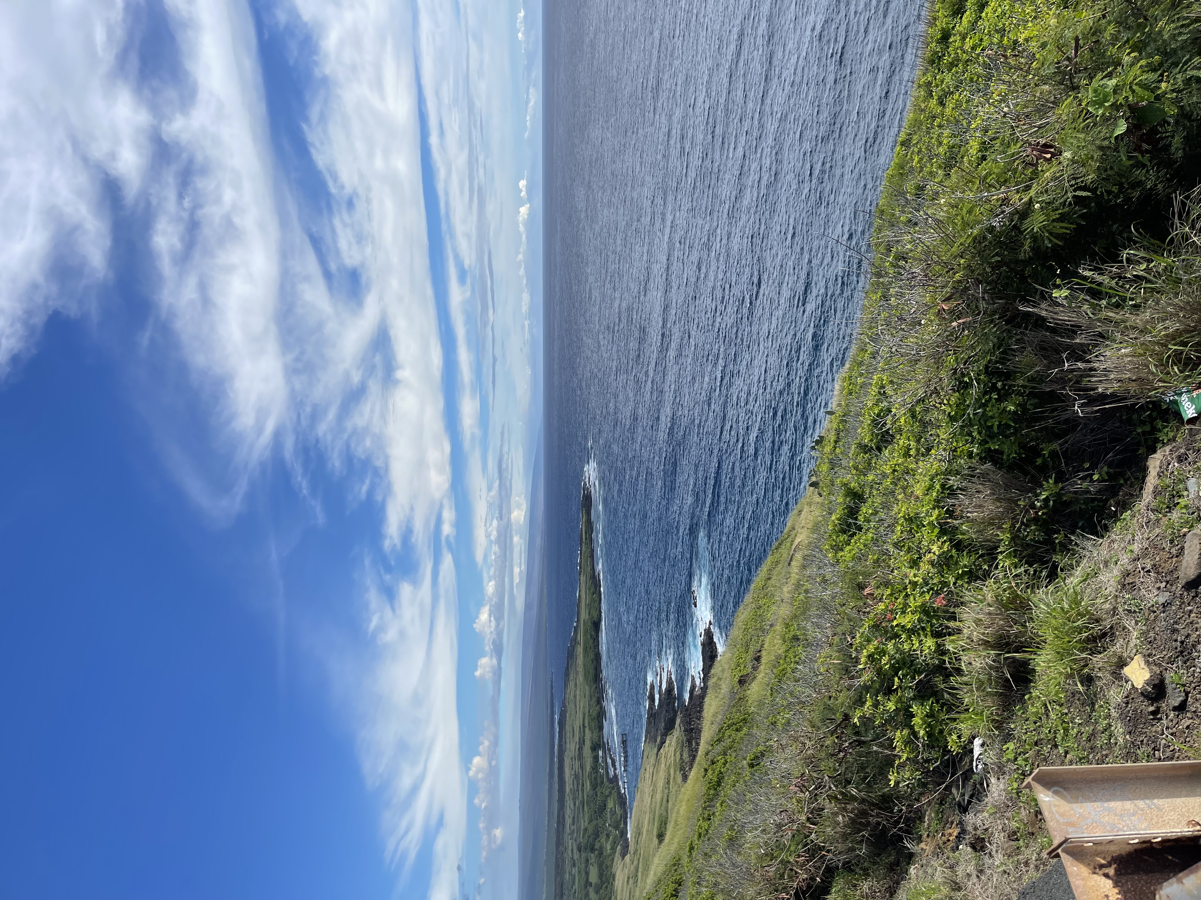 Surf breaking against volcanic shoreline