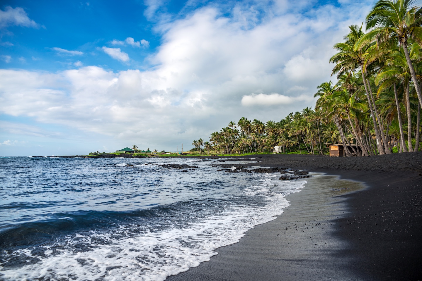 Punalu'u Black Sand Beach Hawaii with palm trees and volcanic sand on Big Island private tour