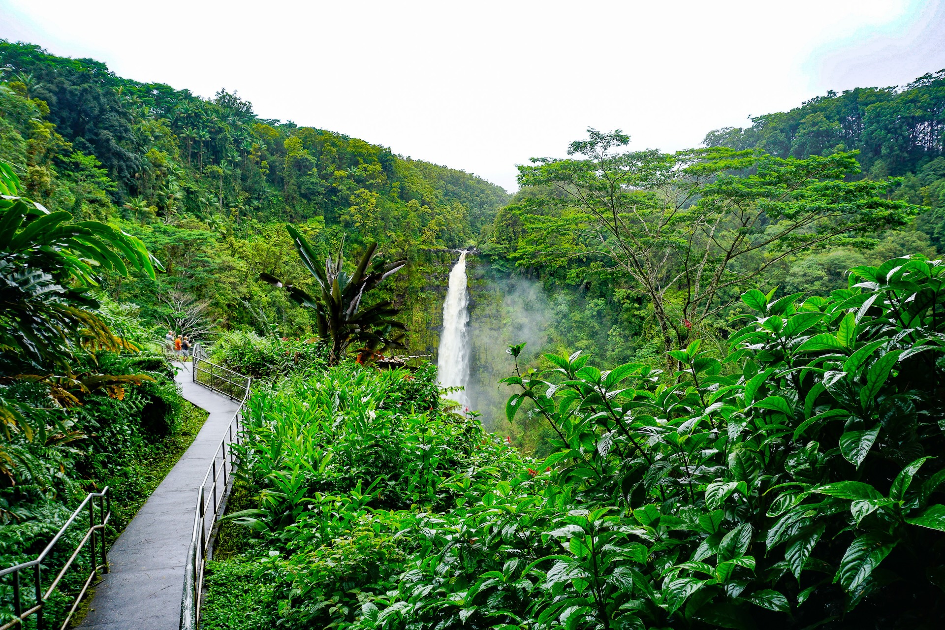 Swimming in Big Island Waterfalls: A High-End Hawaii Guide